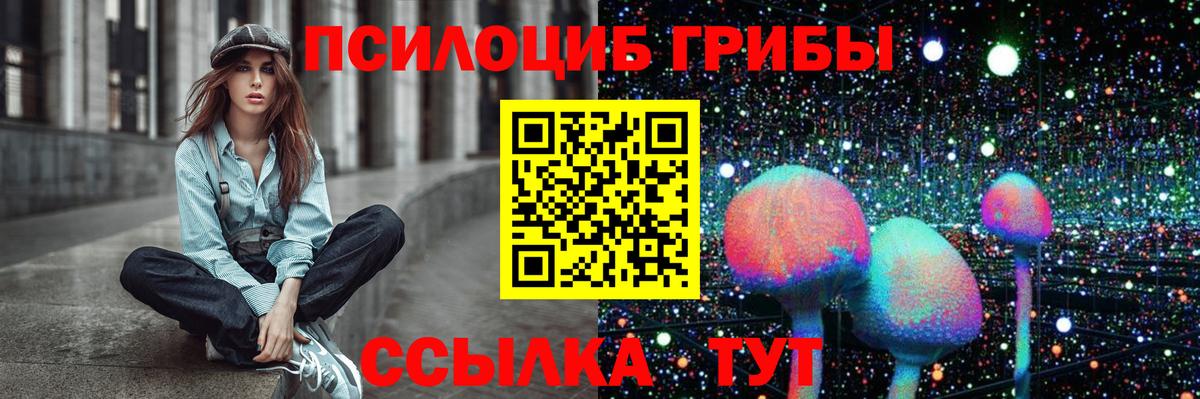 Псилоцибиновые грибы MAGIC MUSHROOMS  Вход с VPN  Гай 